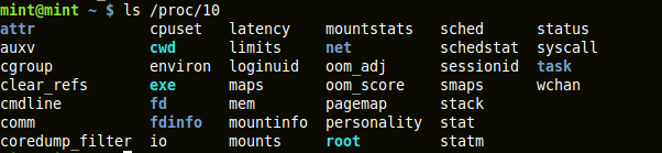 output of ’ls /proc/pid’