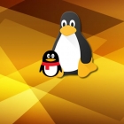 十年生死两茫茫，Linux QQ 突然复活！