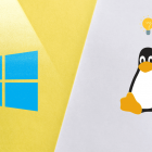 Windows 11 能影响 Linux 发行版吗？