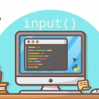 Python 中的输入函数：概念和示例