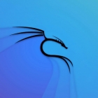 Kali Linux 简介：你需要了解的一切